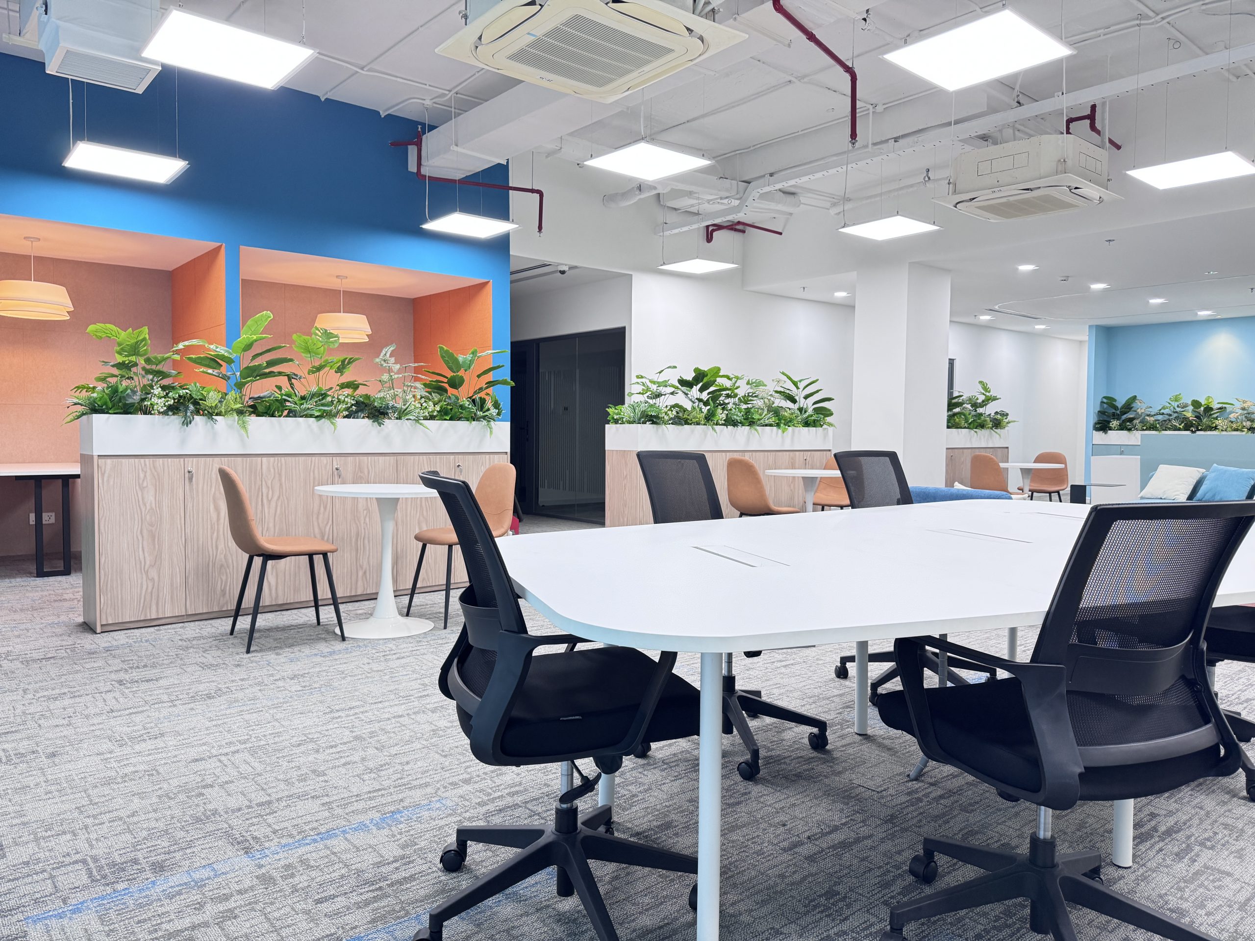 Khu vực tiếp khách hoặc phòng họp của Sallo